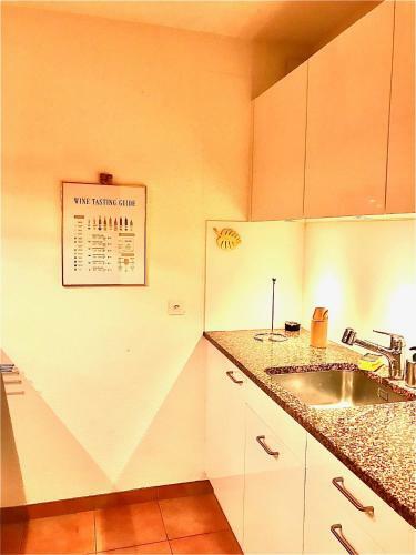 Apartamento Ferienwohnung Mit Garten Und Pool In Ascona