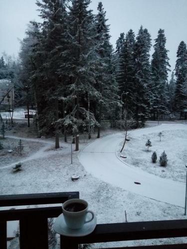 Apartment Relax Borovets