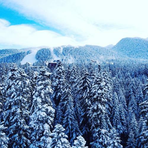 Mountain Paradise In Aparthotel Borovets Gardens