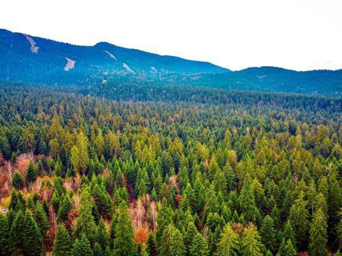 Magri Luxurious Apartment A42 Borovets Gardens