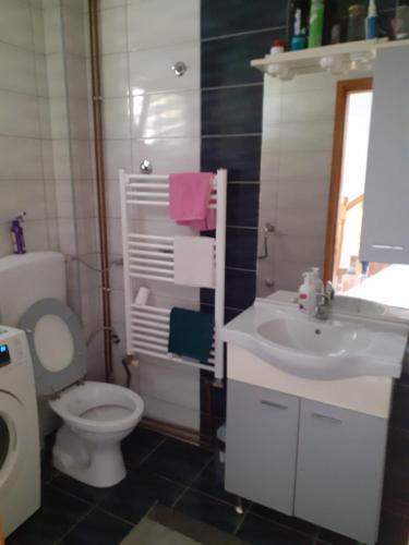 Apartamento House ?ari?