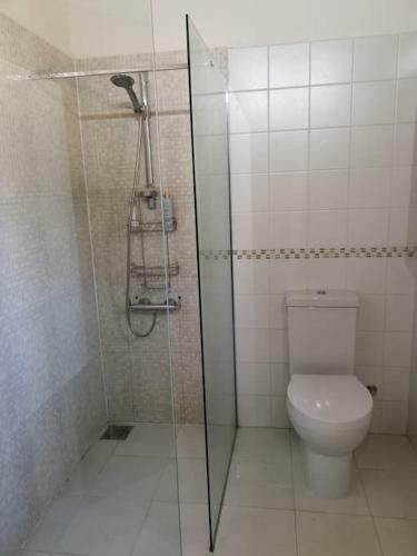 Unique Stonehouse Traditional Villa In Ayia Anna