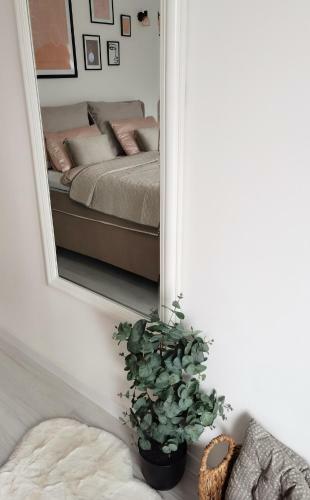 Apartamento Suite No7