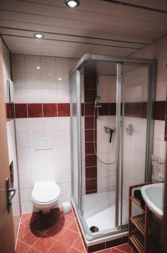 Family Apartment Lechtal