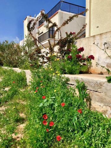 Apartamento Ksilaki A