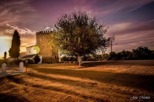 Apartamento Casa Rural El Pocito