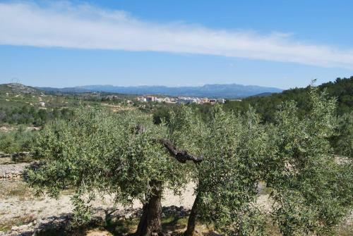 Apartamento Tramuntana