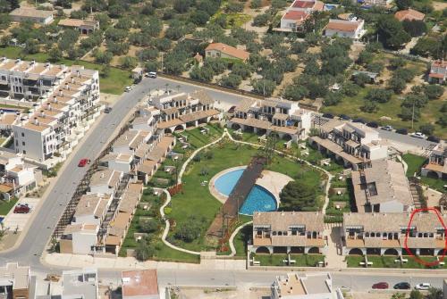 Oliveres 46