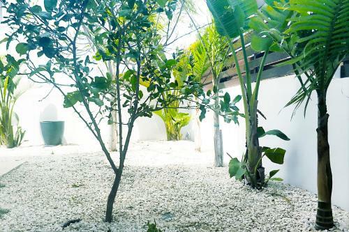 Nissini Shell, 3 Bedroom Villa With Private Pool At Nissi Beach