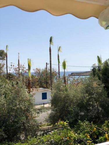 Sea Front Villa