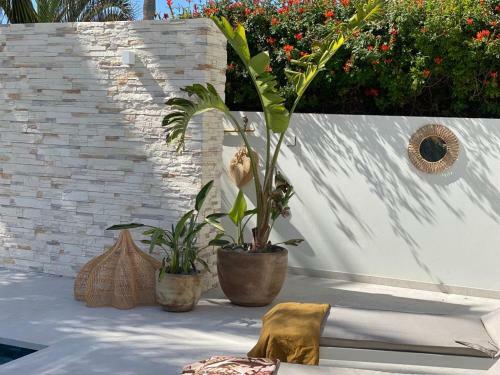 Whitekey Villa Cyprus