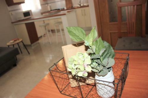 Acogedor Apartamento Valle Del Jerte