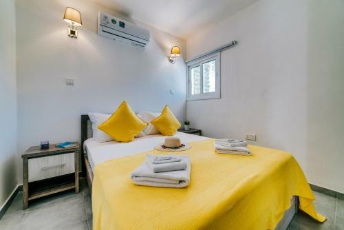Apartment Cycy