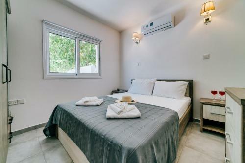 Apartment Cycy