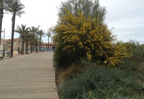Seaside House In El Mojon
