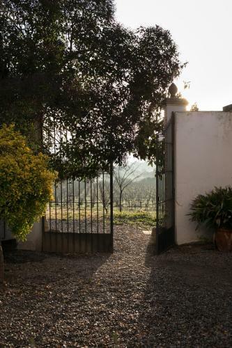 Villa Mas Palou