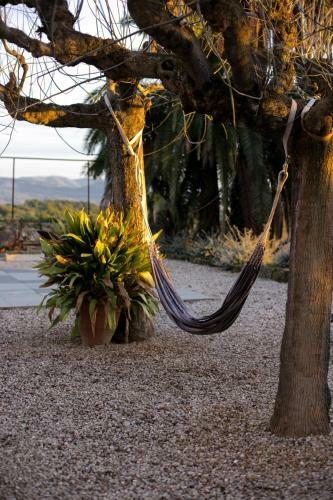 Villa Mas Palou