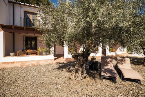 Casa Del Pino