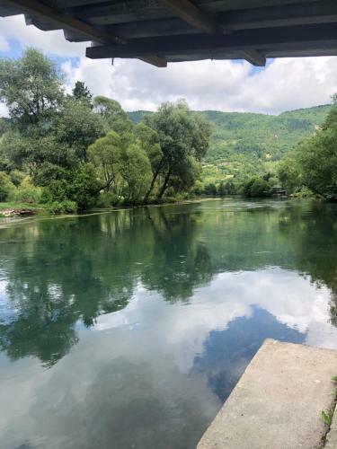 Pliva
