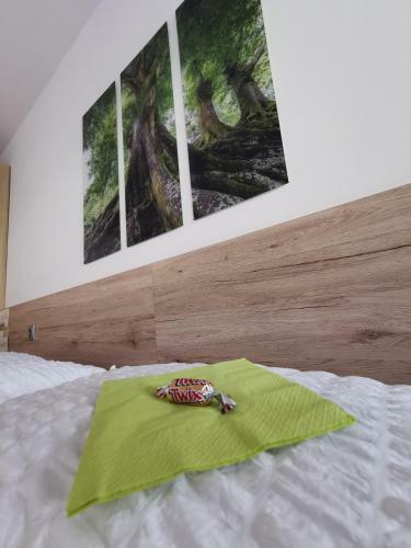 Apartamento Appartement Mit Doppelbett Oder 2 Einzelbetten