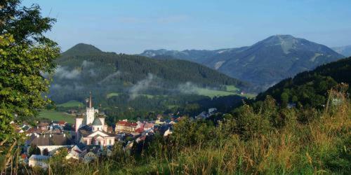 Hotel Drei Hasen
