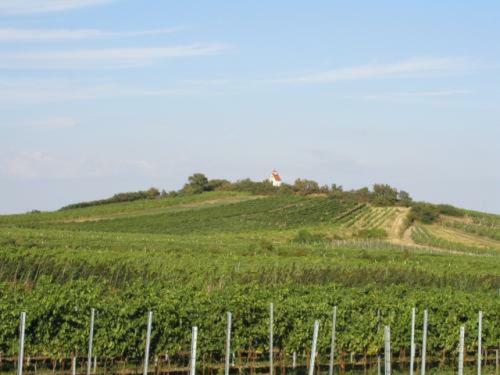 Hostal Der Winzerhof