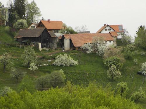 Apartamento Biohof/g�stezimmer Adam