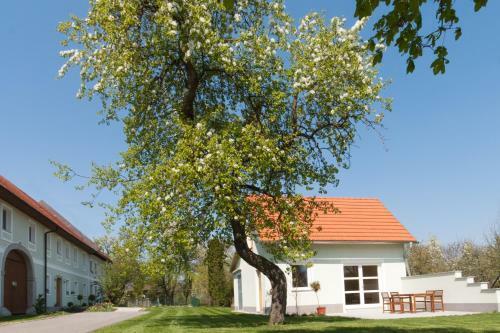 Hostal Landhaus Essl