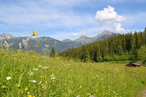 Hostal Pension Waldrast