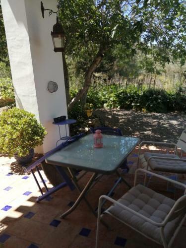 Finca Ecol�gica Vegueta de Gibralgalia