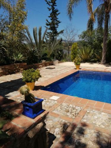 Finca Ecol�gica Vegueta de Gibralgalia