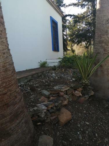 Finca Ecol�gica Vegueta de Gibralgalia