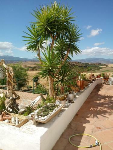 Bed & Breakfast Casa Miguel