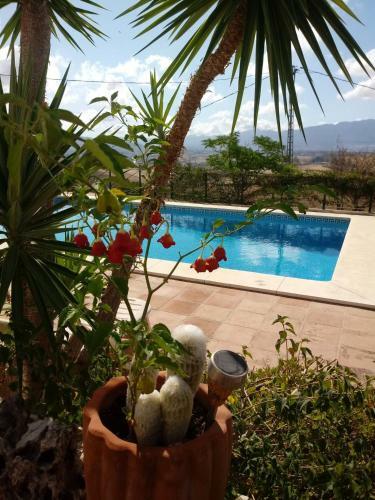 Bed & Breakfast Casa Miguel