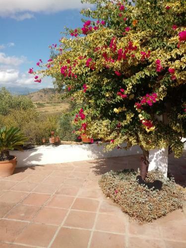 Bed & Breakfast Casa Miguel
