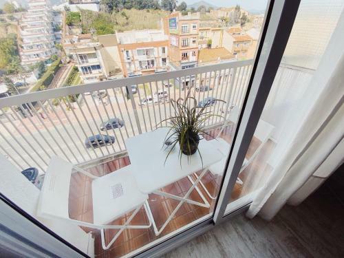 Apartamento Tropical Estudio Euroviajeros