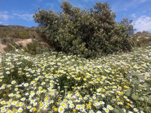Agroturismo Los Trulls D�auligu�