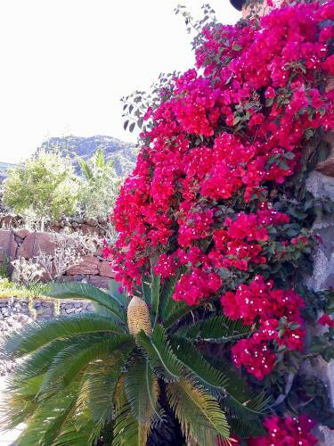 Apartamento Los Olivos