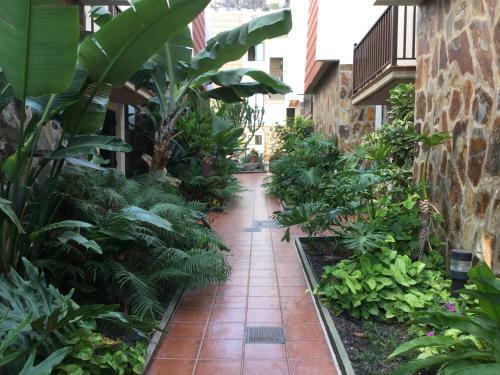 Apartamento Ana En Playa de Santiago