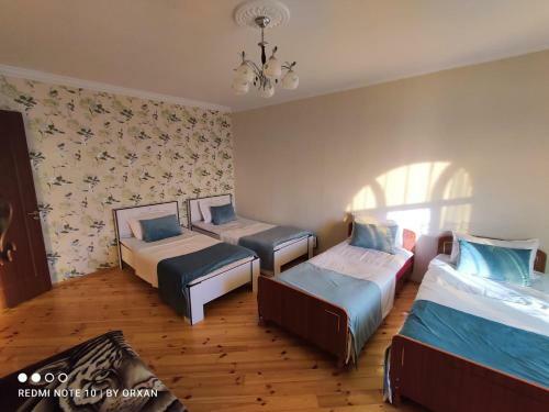 Gabala Mountain Slope Villa