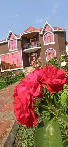 Gabala Mountain Slope Villa