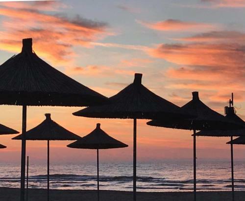 Julia's Valamar Beach Apartment