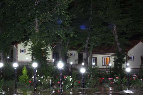 Hotel Selena