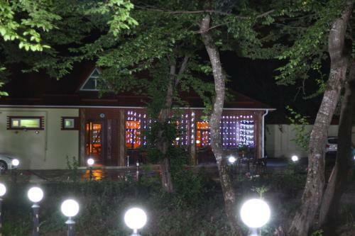 Hotel Selena