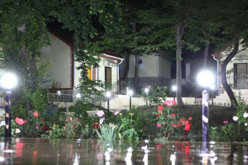 Hotel Selena