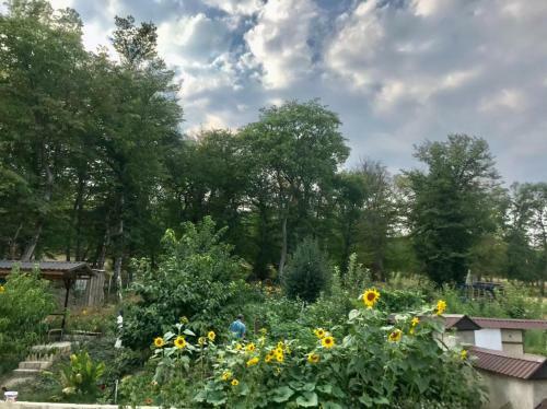 Villa Qusar, Ba? Evi