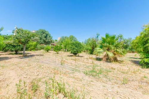 Villa Hort De Can Bou