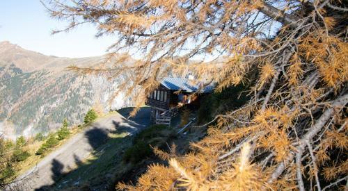 Zirbenzaubernestl Bad Gastein Hohe Tauern