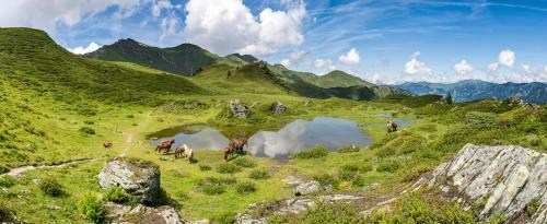 Apartamento Streitberghof