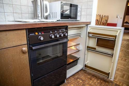 Apartment Hava